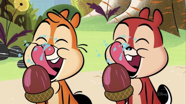 Disney As aventuras de uma das duplas mais amadas da Disney serão exibidas a partir do próximo dia 28