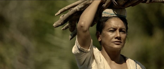 Downton Filmes A atriz Dira Paes é a protagonista do longa 'Pureza', previsto para estrear nos cinemas brasileiros no dia 18 de maio.