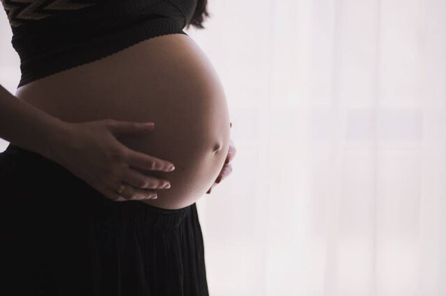 Pixabay/Free-Photos Um estudo feito por uma universidade australiana mostrou correlação entre consumo de frutas e melhora na fertilidade feminina