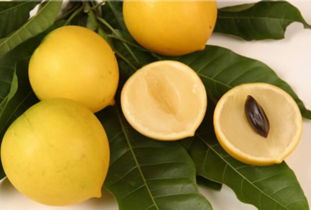 http://www.todafruta.com.br/abiu/ Você já ouviu falar na fruta Abiu?