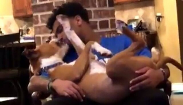 Twitter / @SchulteAbby Harvey se deu bem com Ethan, namorado de sua dona