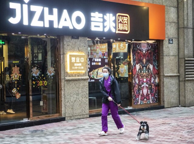 Alex Plavevski / EFE / EPA Um veterinário leva um cachorro para caminhar na cidade de Guangzhou, China