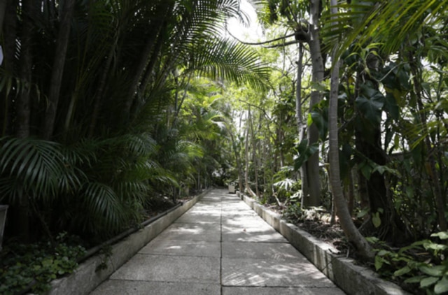 Cesar Ogata / SECOM Cobertura da Prefeitura tem jardins