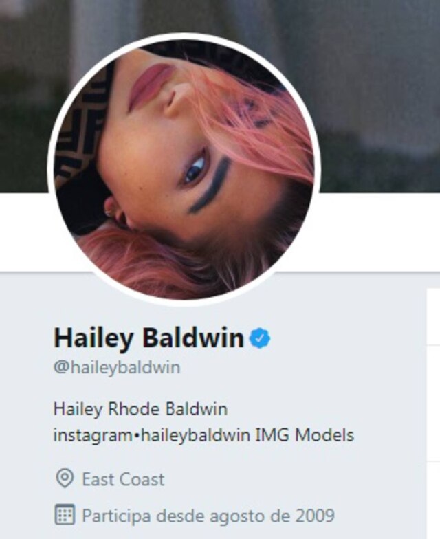 Twitter / @HaileyBaldwin Perfil de Hailey Baldwin no Twitter.