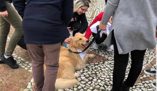 Divulgação Iniciativa conta com a parceria do Projeto Amigo Bicho, que oferece terapia assistida por animais.