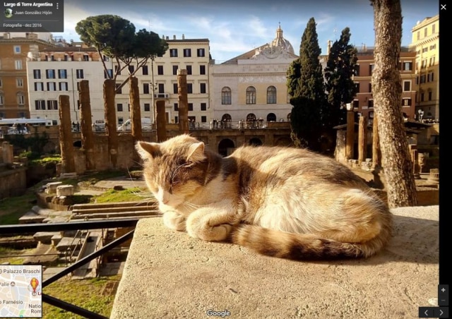 Google Street View / Juan González Hijón O Largo di Torre Argentina, em Roma, é conhecido por abrigar diversos gatos.