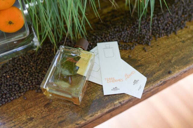 Rodrigo Zorzi/Divulgação O novo perfume Terre d'Hermès Eau Intense Vétiver