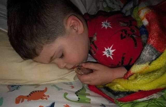 Facebook/@KennedyNewsandMedia O garoto Everett, de quatro anos, que pegou o peixinho de estimação para dormir abraçado com ele.
