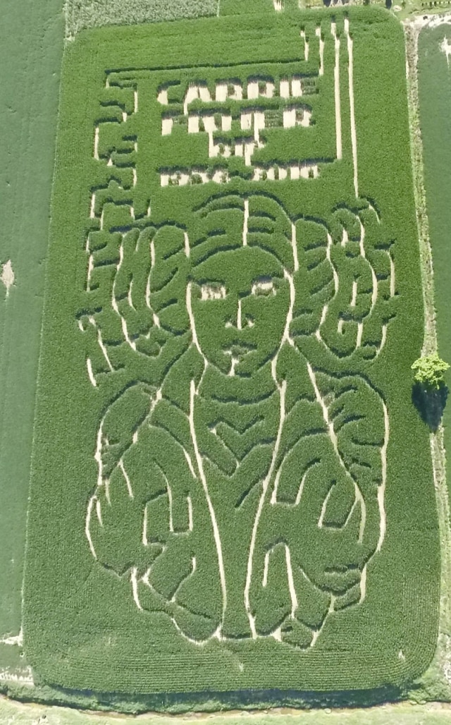 Jeremy Goebel via AP Fazendeiro plantou o milho na primavera de 2017, que começou em março no hemisfério norte, e fotografou os resultados em julho