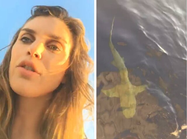 Divulgação / Marilia Moreno .