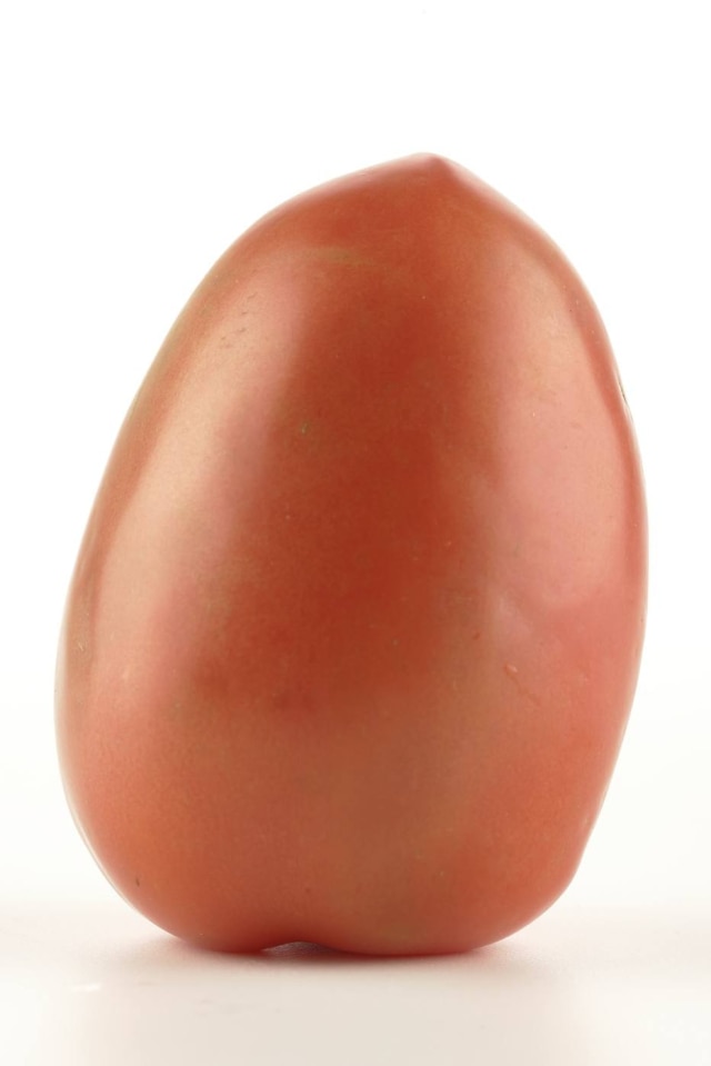 Felipe Rau/Estadão Tomate italiano.