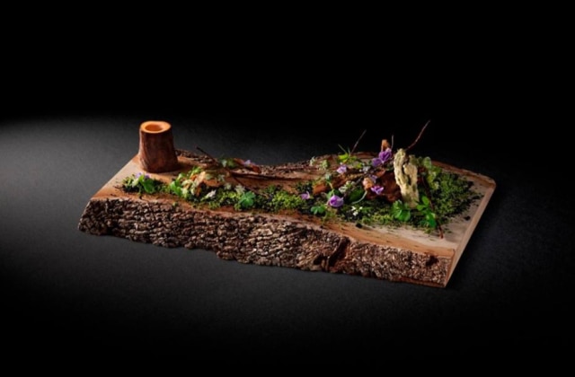 Sergio Coimbra|Divulgação Satoyama. O prato que dá nome a exposição retrata uma floresta, e todos seus elementos vêm dela, inclusive a água servida.