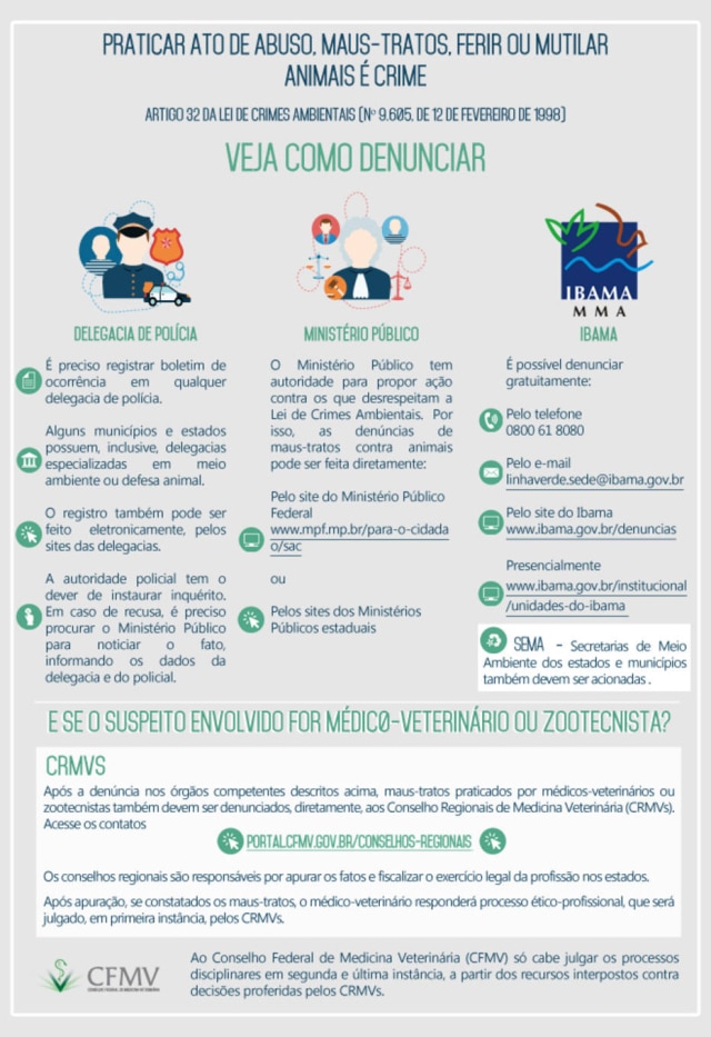 Divulgação/ CFMV Conselho Federal de Medicina Veterinária explica como denunciar maus tratos.