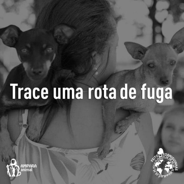 Realize uma simulação de fuga juntamente com seus animais, caso viva em área de risco.