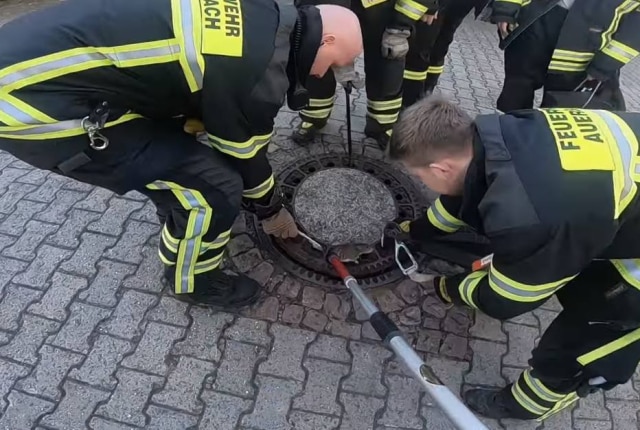Ratte steckt im Gulli fest (2019)/YouTube/Reprodução Bombeiros montaram uma operação razoavelmente grande para salvar o rato.