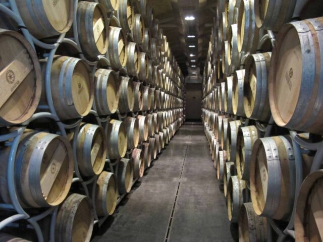 Felipe Mortara Adega do vinho italiano Sassicaia