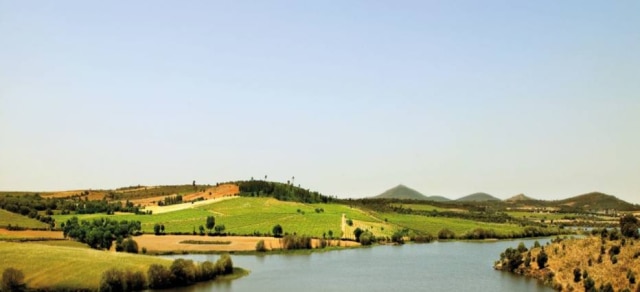 Instituto da Vinha e do Vinho|Divulgação Conto de fadas. Além de fazer vinhos aromáticos, Beira Interior tem alto potencial turístico