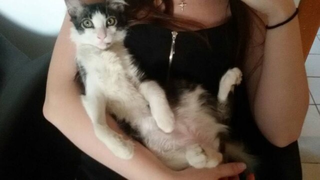 Imagem cedida por Gladys Elisa Hope na casa de Gladys.