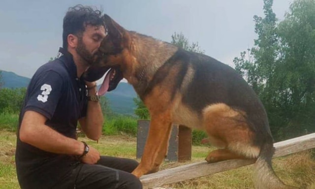 Facebook/Fabiano Ettore Dono afirmou que cão foi envenenado no próprio jardim