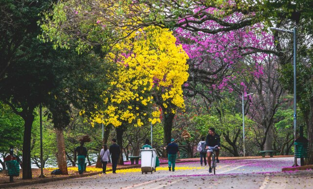 Valeria Gonçalvez/Estadão Parque do Ibirapuera foi o segundo lugar mais visitado pelos paulistanos, exceto shoppings, em dezembro de 2018, segundo levantamento da 99.