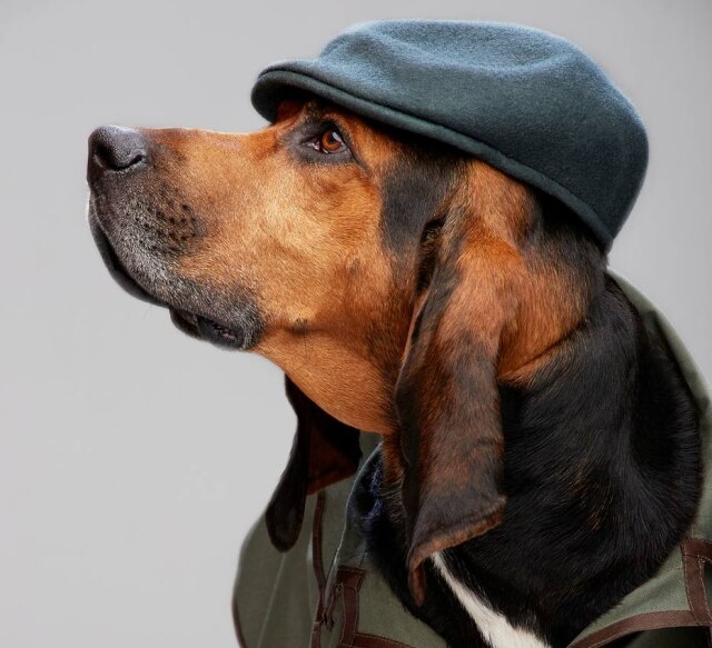 NatGeo/Divulgação Barão é o líder dos detetives caninos, com mais de 700 buscas no currículo.