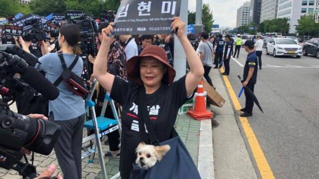 Reprodução/CNN Ativistas querem que lei proíba consumo de carne de cachorro na Coreia do Sul.
