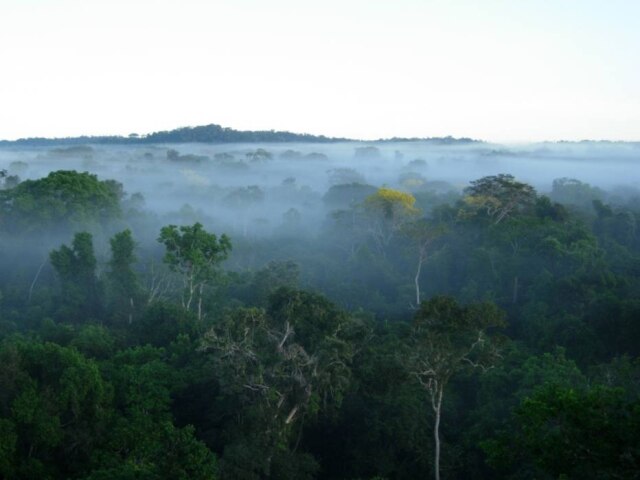 Alexandre Lees|Divulgação Biodiversidade. A cozinha é decisiva para o futuro incerto da civilização
