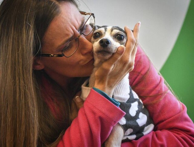 Steve Mellon/AP Katheryn Strang se emocionou ao reencontrar a cadelinha Dutchess depois de 12 anos.