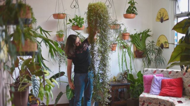 Brendo dos Reis O botânico exibindo uma de suas plantas pendentes