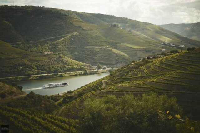 Quinta Nova|Divulgação A vista do Douro desde a Quinta Nova Nossa Senhora do Carmo, vinícola e hotel de luxo