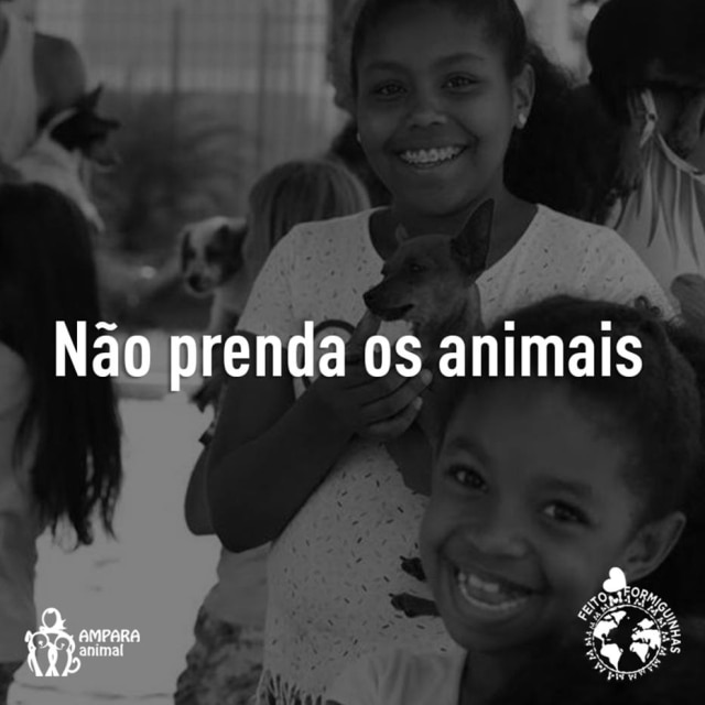 Para pessoas que vivem em áreas de risco, proteger os animais é fundamental. 