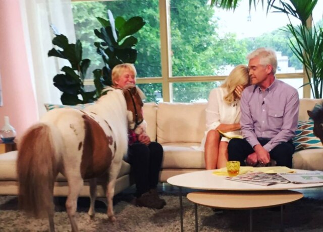 Twitter/ @thismorning Pônei fez suas necessidades no tapetedo estúdio do 'This Morning'