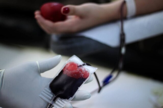 Felipe Rau / Estadão Fundação Pró-Sangue encaminha o material para mais de cem hospitais da grande São Paulo.