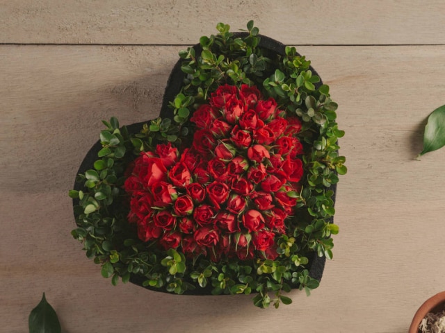 Flores Online Para decorar a casa para a data, arranjo com mini rosas vermelhas, circundadas de folhas verdes, da Flores Online