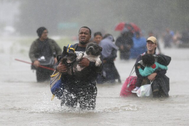 Jonathan Bachman / Reuters Morador da região, Isiah Courtney carrega seu cãozinho, Bruce, durante o Furacão Harvey, no Texas