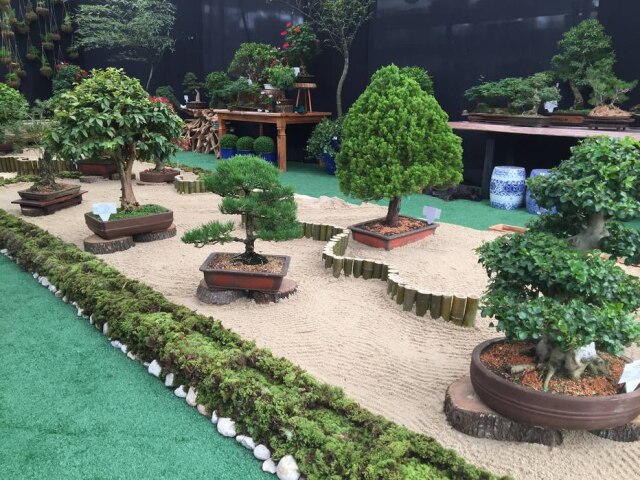 Shopping Garden Mostra Bonsai é destaque na zona leste