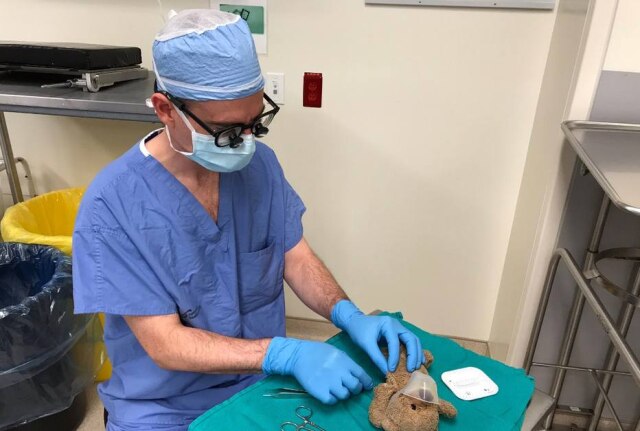 @pdmcneely/ Twitter Médico opera urso de pelúcia a pedido de paciente
