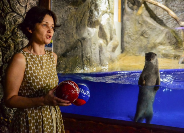 Evgeny Reutov / Reuters A lontra Harry ao lado de Zhanna Zazina, diretora do Zoológico de Sochi.