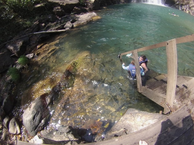 Repare na quantidade de peixes no poço da cachoeira Serra Azul, em Nobres
