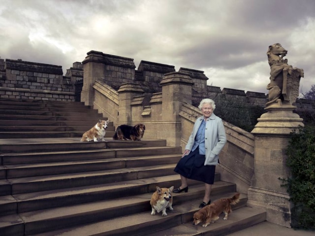 Annie Leibovitz via Reuters Rainha Elizabeth ao lado dos corgis Willow e Holly e dos 'dorgis' Vulcan e Candy, em 2016.
