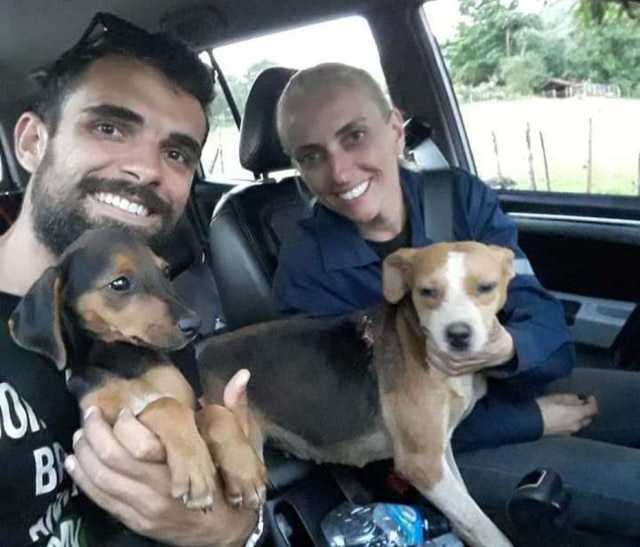 Facebook/CRMVMG Cães encontrados doentes nas ruas foram recolhidos e encaminhados para atendimento em uma clínica veterinária do município.