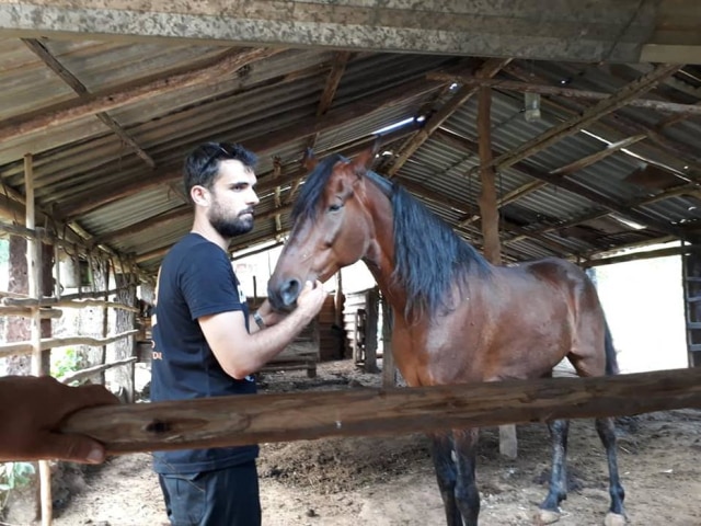 Facebook/CRMVMG Cerca de 1500 animais, entre aves, cães, gatos, equídeos e bovinos receberam água e comida.