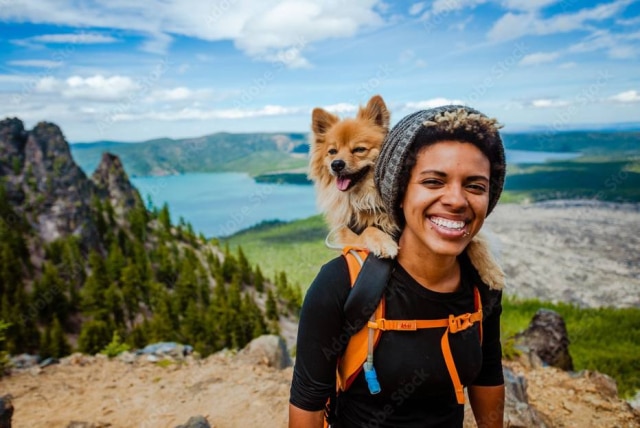 Adobe Stock Para viagem com o pet é importante saber se os lugares que você quer visitar e a hospedagem são 'pet friendly', ou seja, se aceitam a presença de animais de estimação de companhia.