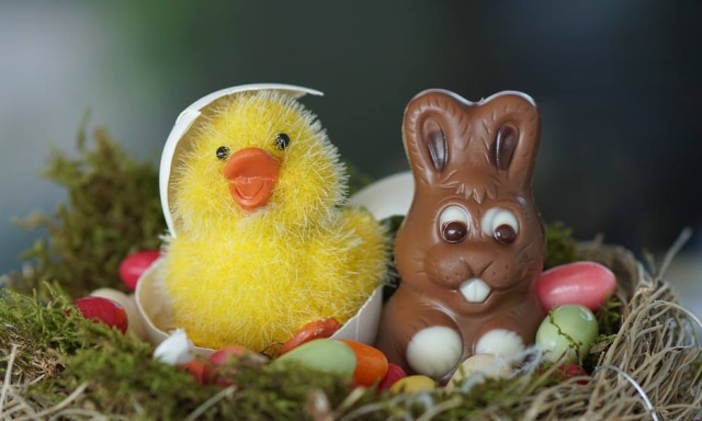 Você já se perguntou o que os ovos têm a ver com os coelhos?