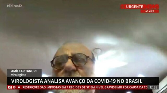 Reprodução de Globo News (2020) Gata derruba celular ao vivo durante entrevista na Globo News