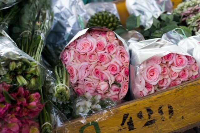 Tiago Queiroz/Estadão Feira de flores tem novo horário na Ceagesp