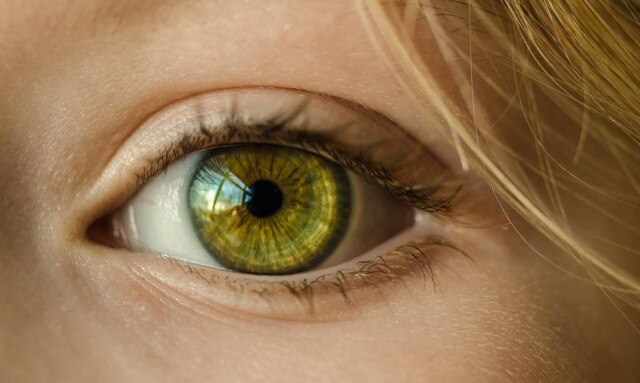 Pixabay/Skitterphoto A norte-americana Abby Beckley foi vítima de uma infecção por vermes inédita na história médica em um dos seus olhos