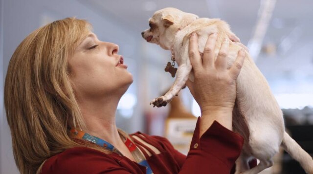 Letícia G. Forster4 A gerente de produtos Silvana Costa posa com sua cachorrinha, Luna, de 4 anos, durante o pet day da MSD Saúde Animal.