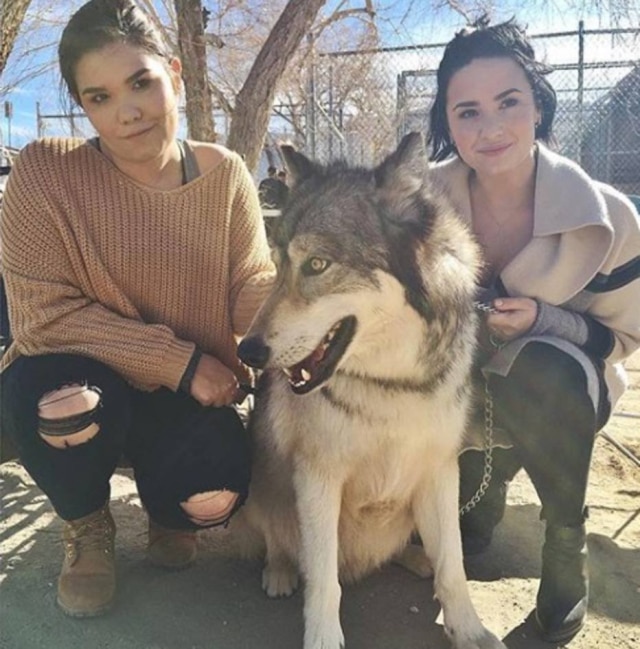 Instagram/ @ddlovato A cantora Demi Lovato e sua irmã Madison de La Garza