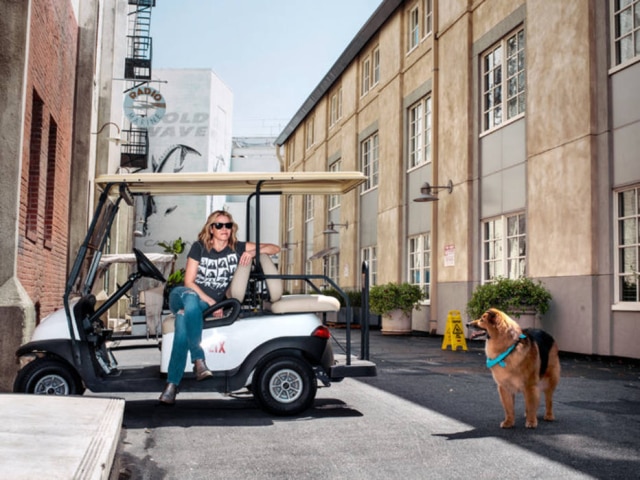 Credit Brinson+Banks /The New York Times Chelsea com seu cachorro do lado de fora do escritório dos estúdios Sony